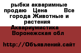 рыбки акваримные продаю › Цена ­ 30 - Все города Животные и растения » Аквариумистика   . Воронежская обл.